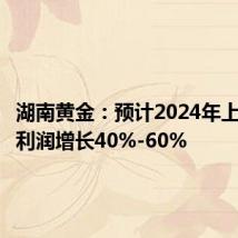 湖南黄金:预计2024年上半年净利润增长40%-60%