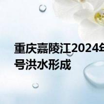 重庆嘉陵江2024年第1号洪水形成