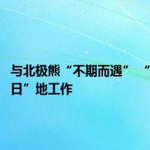 与北极熊“不期而遇” “日以继日”地工作