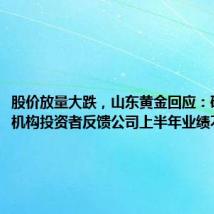 股价放量大跌,山东黄金回应:确有部分机构投资者反馈公司上半年业绩不及预期