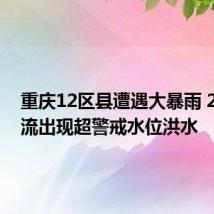 重庆12区县遭遇大暴雨 29条河流出现超警戒水位洪水