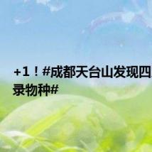 +1！#成都天台山发现四川新纪录物种#
