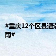 #重庆12个区县遭遇大暴雨#