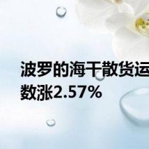 波罗的海干散货运价指数涨2.57%