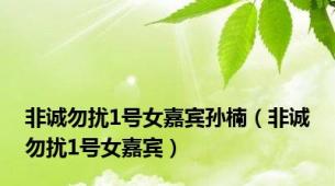 非诚勿扰1号女嘉宾孙楠（非诚勿扰1号女嘉宾）