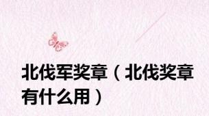 北伐军奖章（北伐奖章有什么用）