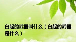 白起的武器叫什么（白起的武器是什么）