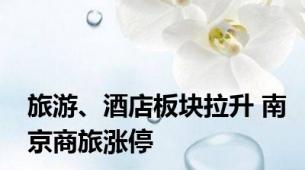 旅游、酒店板块拉升 南京商旅涨停
