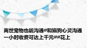离世宠物也能沟通#和猫狗心灵沟通一小时收费可达上千元##花上