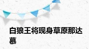 白狼王将现身草原那达慕