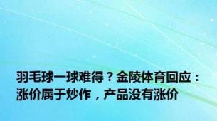 羽毛球一球难得？金陵体育回应：涨价属于炒作，产品没有涨价