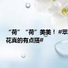 “荷”“荷”美美！ #翠鸟立荷花真的有点搭#