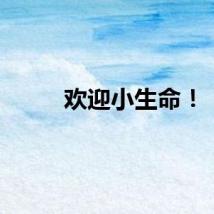 欢迎小生命！