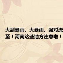 大到暴雨、大暴雨、强对流天气将至!河南这些地方注意啦!