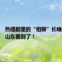 热播剧里的“相柳”长啥样？在山东看到了！