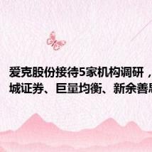爱克股份接待5家机构调研,包括长城证券、巨量均衡、新余善思等