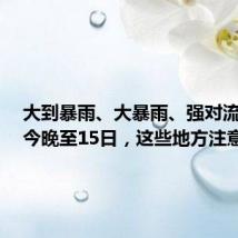 大到暴雨、大暴雨、强对流天气!今晚至15日,这些地方注意