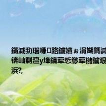 鏋滅劧瑙嗛路鐪嬪ぉ涓媩鎷滅櫥杩熷埌锛屾剰澶у埄鎬荤悊缈荤櫧鐪艰〃鎯呯伀浜?,
