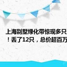 上海别墅绿化带惊现多只爱马仕!丢了12只,总价超百万