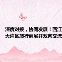 深度对接,协同发展!西江联盟与大湾区旅行商展开双向交流
