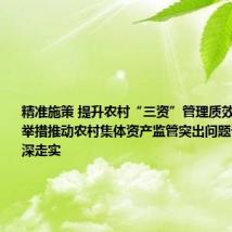 精准施策 提升农村“三资”管理质效我市五项举措推动农村集体资产监管突出问题专项整治走深走实