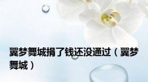翼梦舞城捐了钱还没通过（翼梦舞城）