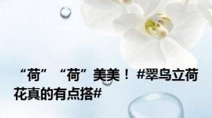 “荷”“荷”美美！ #翠鸟立荷花真的有点搭#