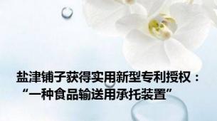 盐津铺子获得实用新型专利授权：“一种食品输送用承托装置”