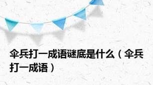 伞兵打一成语谜底是什么（伞兵打一成语）