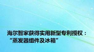海尔智家获得实用新型专利授权：“蒸发器组件及冰箱”