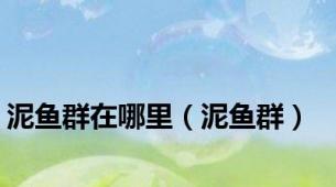 泥鱼群在哪里（泥鱼群）