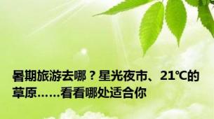 暑期旅游去哪？星光夜市、21℃的草原……看看哪处适合你