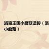 洛克王国小蘑菇遗传（洛克王国小蘑菇）