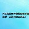 天涯何处无芳草墙里秋千墙外道啥意思（天涯何处无芳草）