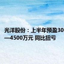 光洋股份:上半年预盈3000万元—4500万元 同比扭亏