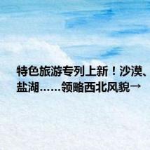 特色旅游专列上新!沙漠、戈壁、盐湖……领略西北风貌→