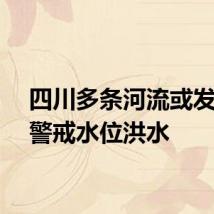 四川多条河流或发生超警戒水位洪水