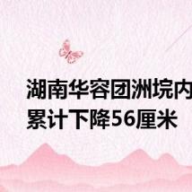 湖南华容团洲垸内积水累计下降56厘米