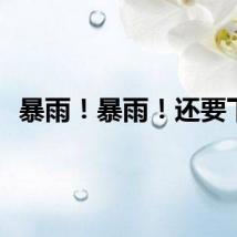 暴雨！暴雨！还要下！