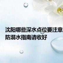 沈阳哪些深水点位要注意？这份防溺水指南请收好