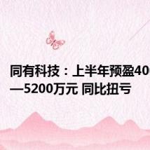 同有科技:上半年预盈4000万元—5200万元 同比扭亏