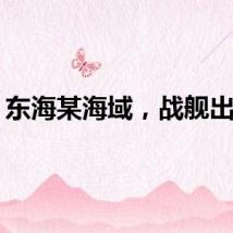 东海某海域，战舰出击！