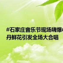 #石家庄音乐节现场嗨爆# 回春丹鲜花引发全场大合唱