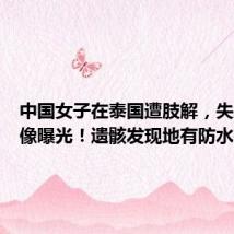 中国女子在泰国遭肢解,失踪前影像曝光!遗骸发现地有防水布