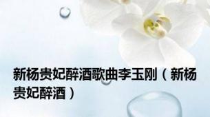 新杨贵妃醉酒歌曲李玉刚（新杨贵妃醉酒）