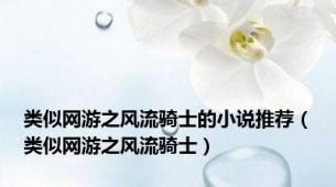 类似网游之风流骑士的小说推荐（类似网游之风流骑士）