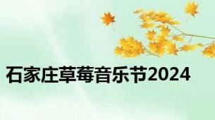 石家庄草莓音乐节2024