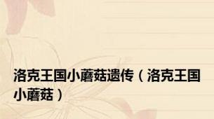 洛克王国小蘑菇遗传（洛克王国小蘑菇）