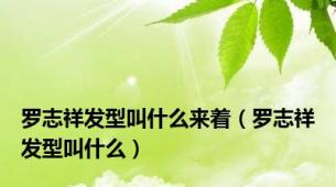 罗志祥发型叫什么来着（罗志祥发型叫什么）