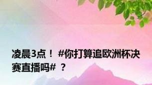 凌晨3点！ #你打算追欧洲杯决赛直播吗# ？